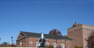 Youngstown State University : Trường Đại học tốt nhất nước Mỹ